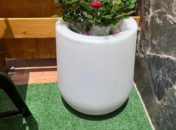 Paradise 1 Minute From The Apartment *