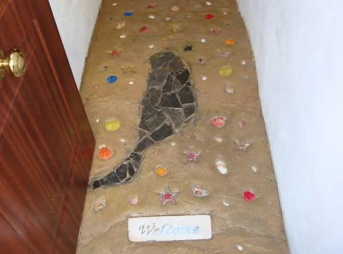 Paradise 1 Minute From The * Corralejo